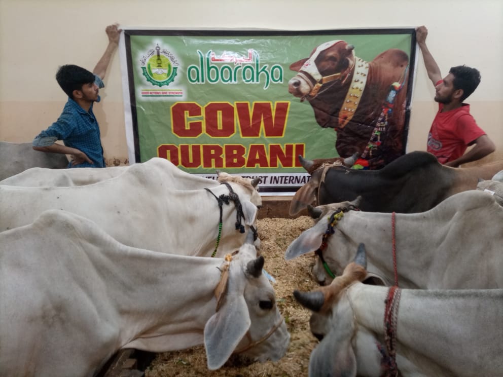 qurbani gallery